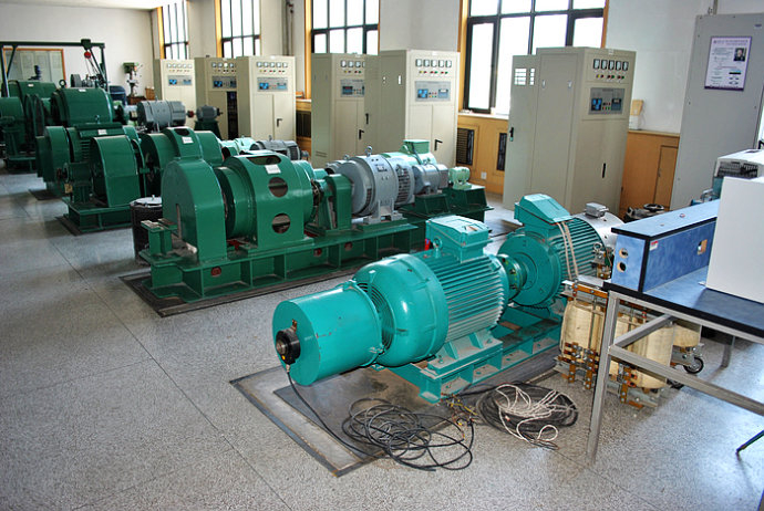 Y4001-6某热电厂使用我厂的YKK高压电机提供动力