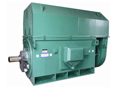 Y4001-6Y系列6KV高压电机